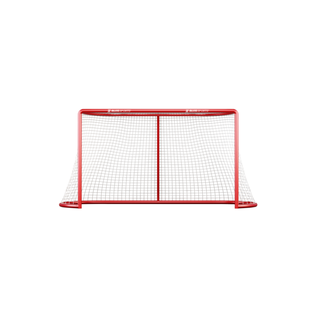 Blue Sports Pro Regulation Goal