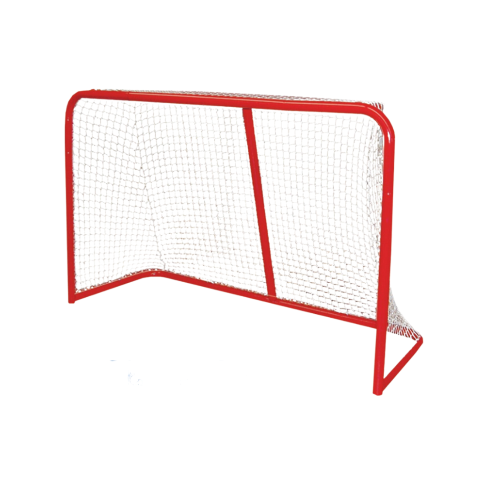 Blue Sports Pro Regulation Goal